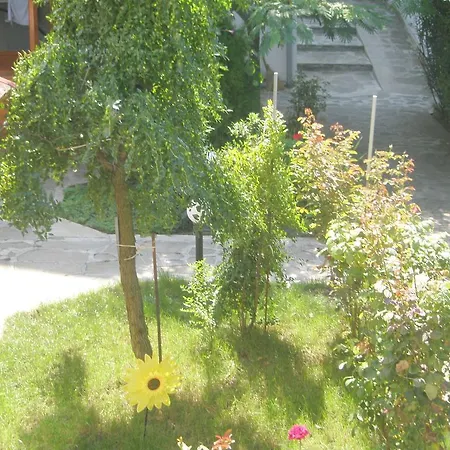 Hotel Morski Dar